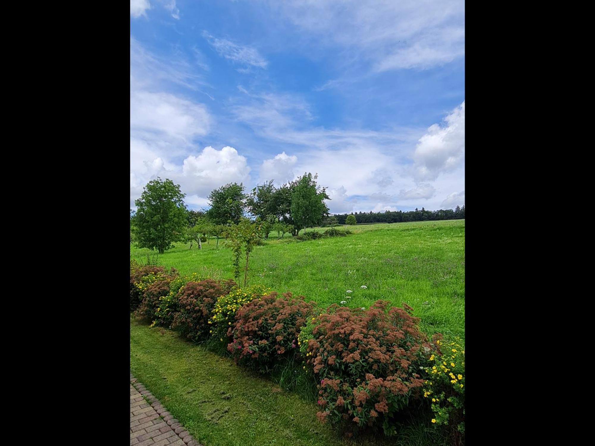Neu Ferienwohnung Odenwald Rimhorn ภายนอก รูปภาพ