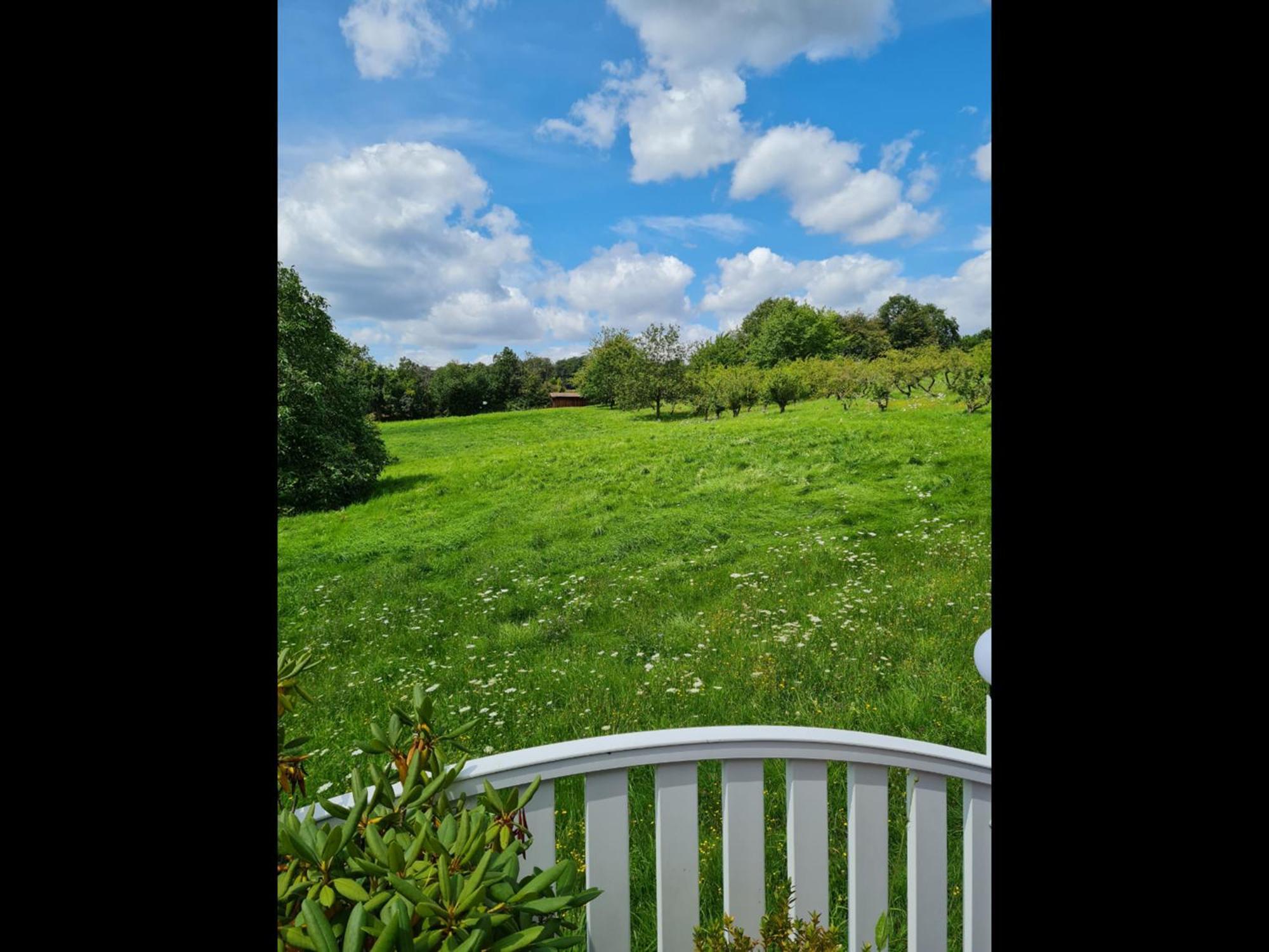 Neu Ferienwohnung Odenwald Rimhorn ภายนอก รูปภาพ